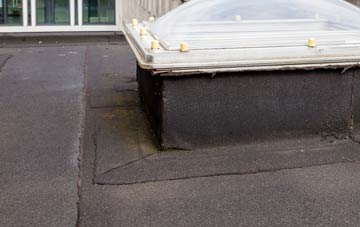 disadvantages of Oldshoremore flat roofs