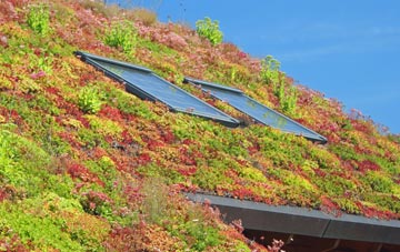 Oldshoremore living roof systems